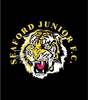 SEAFORD JUNIOR FOOTBALL CLUB